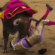 Illustration for article titled Bullfighting Festival Canceled After All Three Bullfighters Gored
